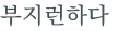 từ vựng online