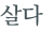 từ vựng online